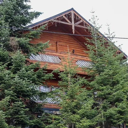 Forest House Migovo Exterior photo